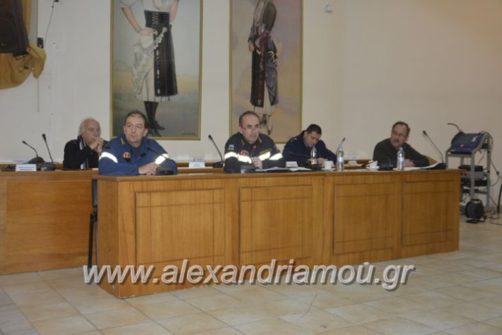 alexandriamou (18)